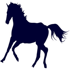 Racing horse silhouette isolated on transparent background.