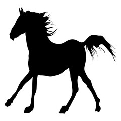 Racing horse silhouette isolated on transparent background.