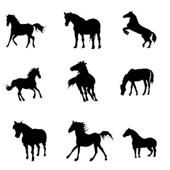 Set of horse silhouette isolated on transparent background.