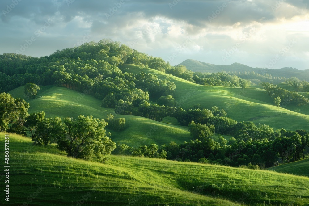 Poster a serene landscape with a lush green hillside, featuring trees and rolling hills in the background