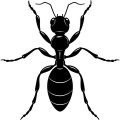 ant silhouette vector illustration