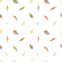Boho leaves pattern seamless. Watercolor illustration of floral elements hand painted. Autumn dried plants in vintage colors on white background