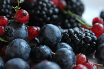 Summer berries blackberries,blueberries and currants