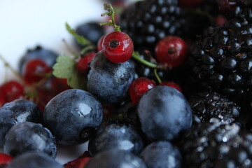 Summer berries blueberries and currants.