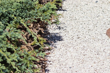 Decorative stones in the garden. Garden arrangements. White stones, colored stones in the garden.