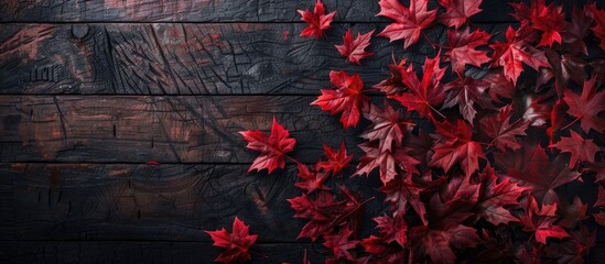 Autumn themed with red maple leaves on a dark wooden backdrop creating a striking image with copy space available