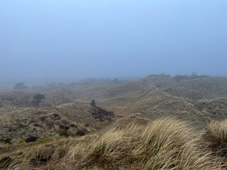 Stunning, real hilly landscape.