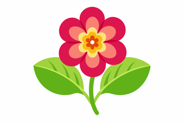 Primrose flower vector illustration 