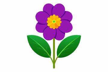 Primrose flower vector illustration 