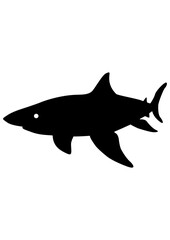 Shark | Deep Sea Angling | Wild Animal | Predator Fish | Fishing Outdoor | Marine Life | Aquatic Animal | Sea Monster | Original Illustration | Vector and Clipart | Cutfile and Stencil