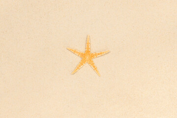 lonely starfish on a sandy beach. star on the sand. top view