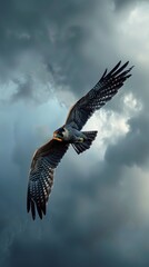 Peregrine falcon is flying through a cloudy sky with its wings outstretched, demonstrating the power and grace of these birds