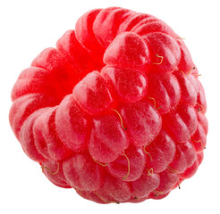 Raspberry isolated png. One raspberry on transparent background. PNG format. Red raspberry with no...