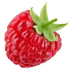 Raspberry isolated png. One raspberry on transparent background. PNG format. Red berry with no...