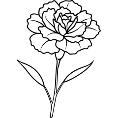 Obraz premium Line art of Carnation flower 