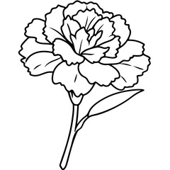 Line art of Carnation flower 