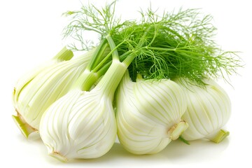 Fresh fennel bulbs with green tops on white background
