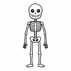 Skeleton vector illustration, skeleton head vector art, halloween skeleton silhouette, skeleton of a person