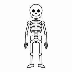 Skeleton vector illustration, skeleton head vector art, halloween skeleton silhouette, skeleton of a person