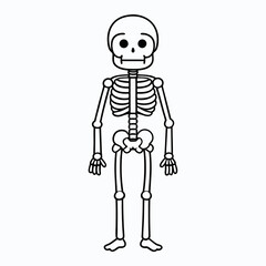 Skeleton vector illustration, skeleton head vector art, halloween skeleton silhouette, skeleton of a person