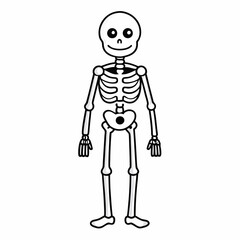 Skeleton vector illustration, skeleton head vector art, halloween skeleton silhouette, skeleton of a person