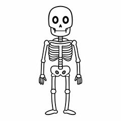 Skeleton vector illustration, skeleton head vector art, halloween skeleton silhouette, skeleton of a person