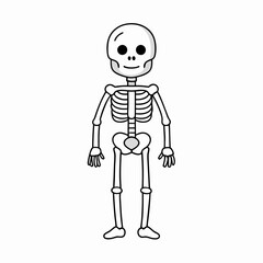 Skeleton vector illustration, skeleton head vector art, halloween skeleton silhouette, skeleton of a person