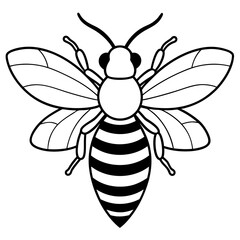 Bee line art vector illustrations