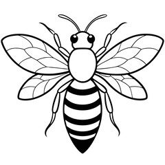 Bee line art vector illustrations