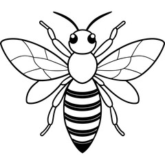 Bee line art vector illustrations