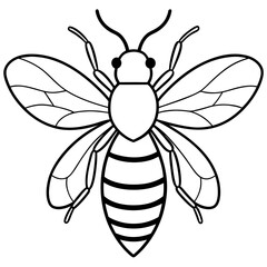 Bee line art vector illustrations