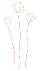 Flower png cute pink doodle illustration with branch