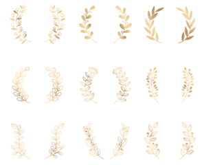 Png wreath watercolor floral ornament gold luxury style set