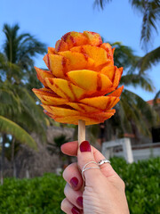 Mango on a wooden stick cut like a flower and sprinkled with chilli lime salt seasoning in Isla Mujeres, Mexico. Traditional mango stick cut.