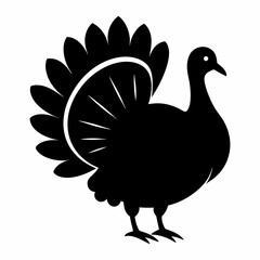 Turkey bird vector illustration, türkiye vector art, Thanksgiving türkiye bird silhouette, chicken with a chicken
