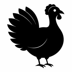 Turkey bird vector illustration, türkiye vector art, Thanksgiving türkiye bird silhouette, chicken with a chicken