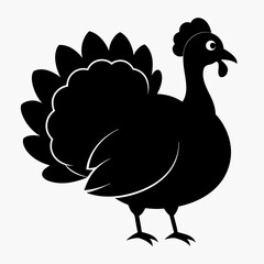 Turkey bird vector illustration, türkiye vector art, Thanksgiving türkiye bird silhouette, chicken with a chicken