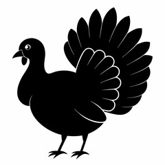 Turkey bird vector illustration, türkiye vector art, Thanksgiving türkiye bird silhouette, chicken with a chicken
