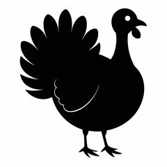 Turkey bird vector illustration, türkiye vector art, Thanksgiving türkiye bird silhouette, chicken with a chicken