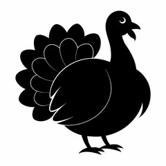 Turkey bird vector illustration, türkiye vector art, Thanksgiving türkiye bird silhouette, chicken with a chicken