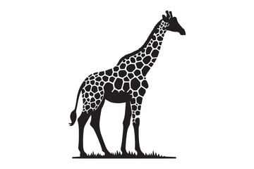  Giraffe set Animal Silhouettes vector illustration - Generative AI