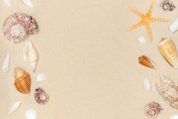 Sandy beach background with seashells and starfish. natural sand textured background. summer holiday vacations concept with empty space. resort beach. top view.