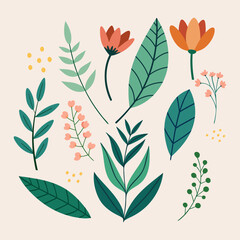 Set isolated hand drawn botanical leaf and flowers. Pretty flower set. Blossom heads of flowers, herbs, leaves, branches, berries.