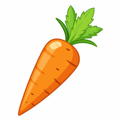 carrot vector illustration on white background