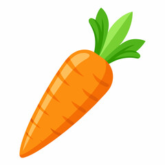 carrot vector illustration on white background