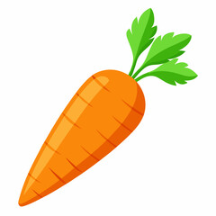 carrot vector illustration on white background