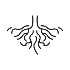 root of the tree icon symbol