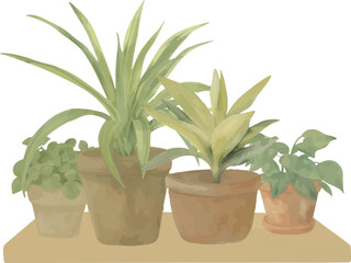 Vector Watercolor composition, plants in pots on the board. Invitation, greeting cards, birthday, event, holiday, menu; cooking class; Master Class