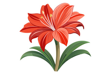 Obraz premium Amaryllis flower vector illustration