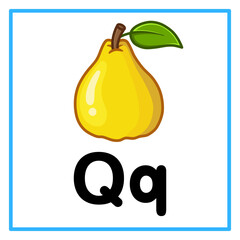 fresh quince alfabet q illustration © Rahmatullah